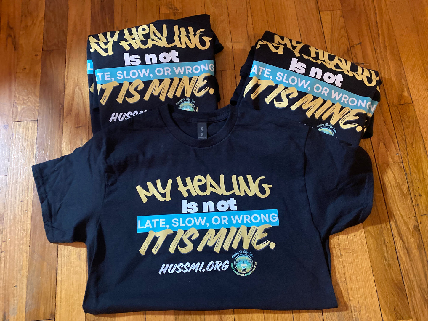 Helping Us Stay Safe (T-shirt)